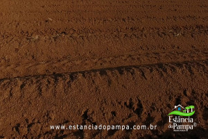 Fazenda com 1496 ha em Cachoeira do Sul localidade Irapu�.00_15_03_07.Quadro043_6976da564db7ee16c2fcb788cf062c57688f9e90.jpg